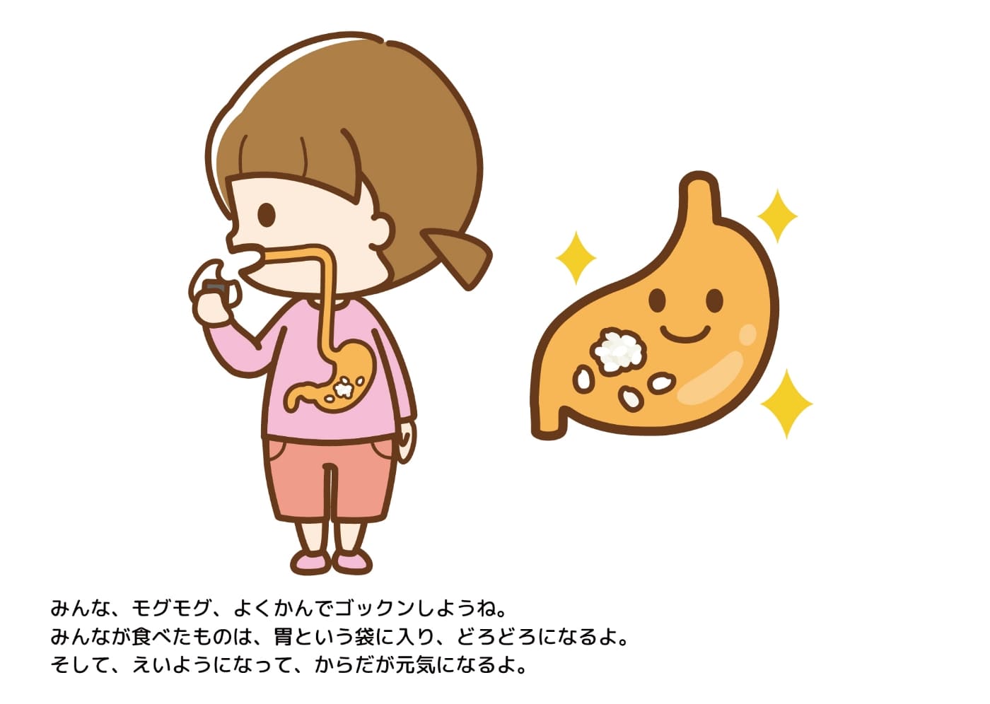 みんな、モグモグ、よくかんでゴックンしようね。みんなが食べたものは、胃という袋に入り、どろどろになるよ。そして、えいようになって、からだが元気になるよ。